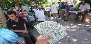 قیمت دلار، یورو و انواع ارزها امروز ۲۰ مهر ۱۴۰۵ در زمان بازگشایی بازار/ قیمت دلار به کانال ۲۶۴ هزار تومان برگشت + جدول